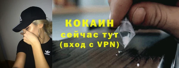 Альфа ПВП Корсаков