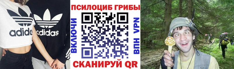 Псилоцибиновые грибы прущие грибы  Тихорецк 